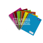 CUADERNO SAIRA PROFESIONAL 100 HOJAS 7 MM.